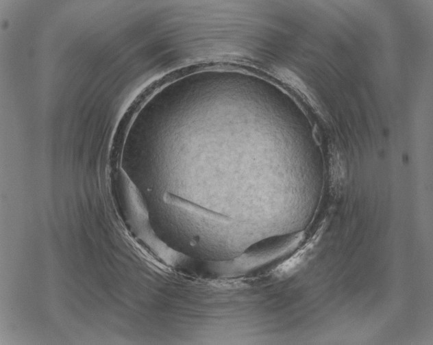 X0000068820924200605051207