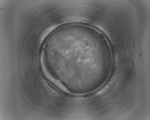 X0000068820925200605051207