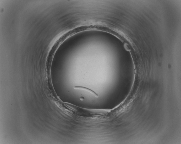 X0000068820927200605051207