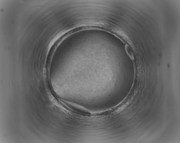 X0000068820928200605051207