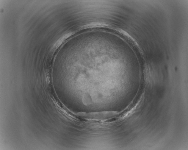 X0000068820929200605051207