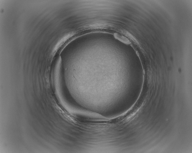 X0000068820930200605051207