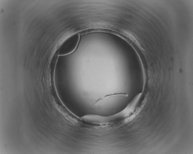 X0000068820931200605051207