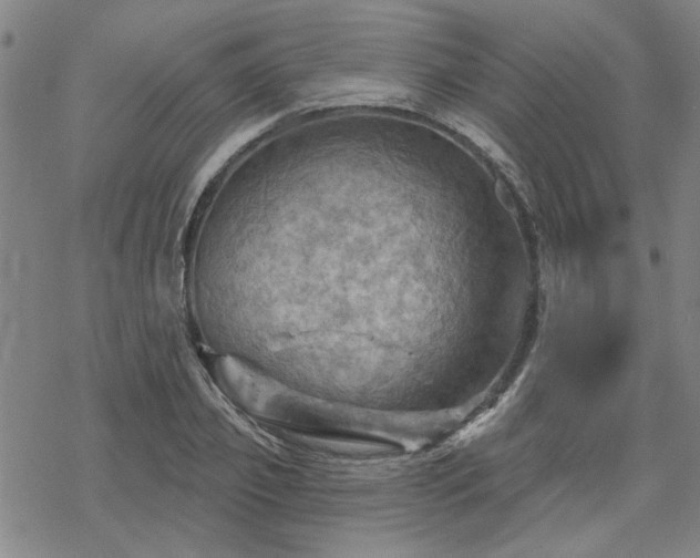 X0000068820933200605051207