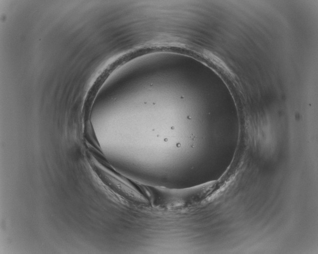 X0000068820934200605051207