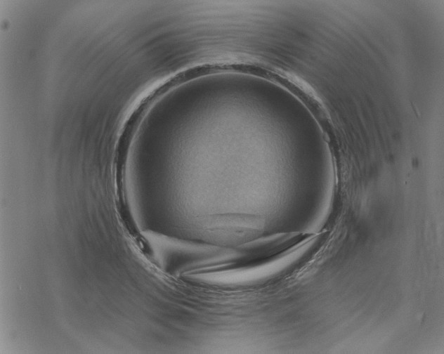 X0000068820935200605051207