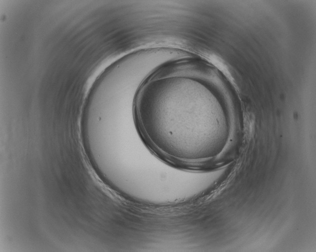 X0000068820936200605051207