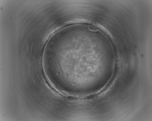 X0000068820937200605051207