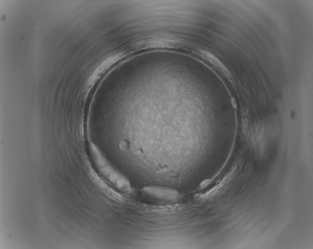 X0000068820938200605051207