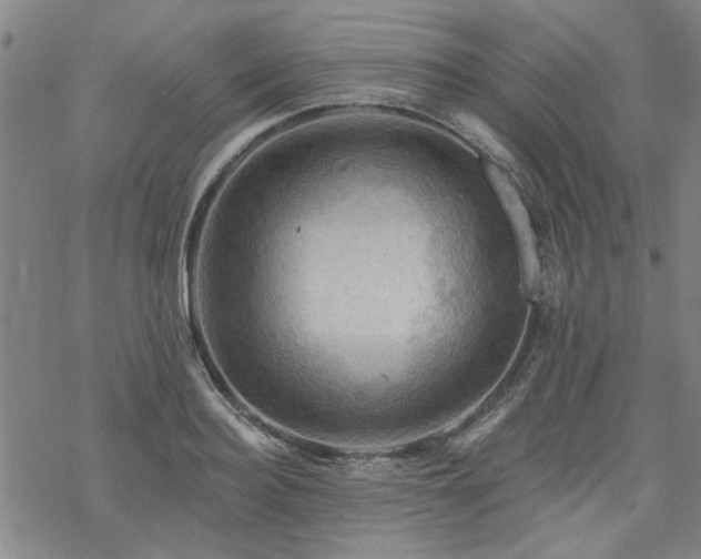 X0000068820940200605051207