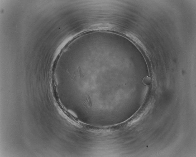 X0000068820941200605051207