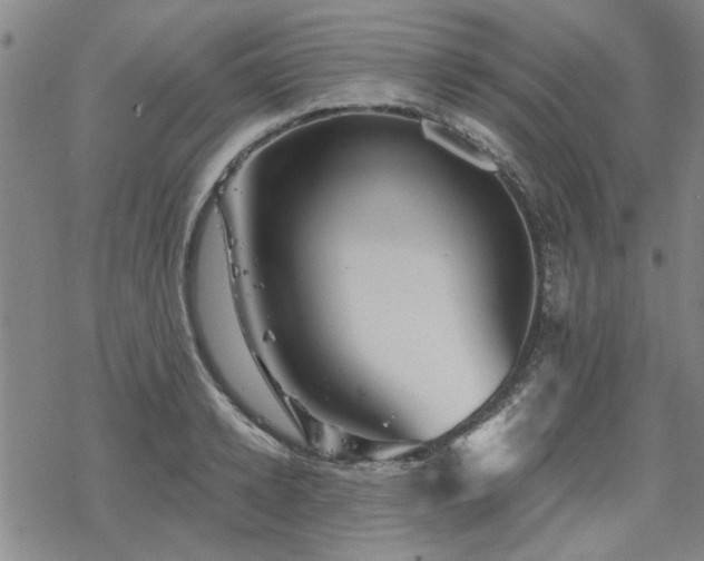 X0000068820942200605051207