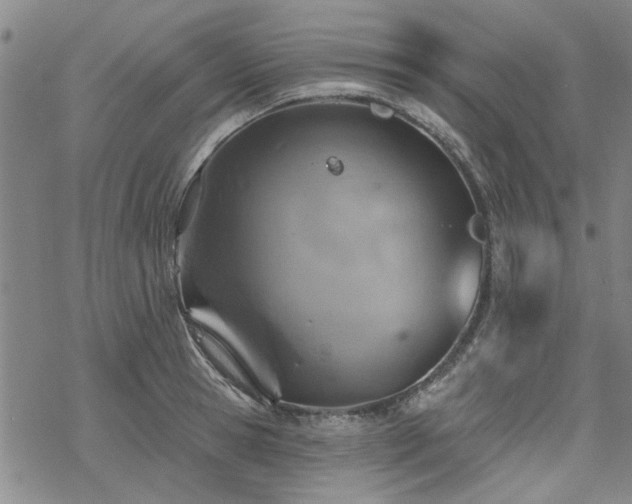 X0000068820945200605051207