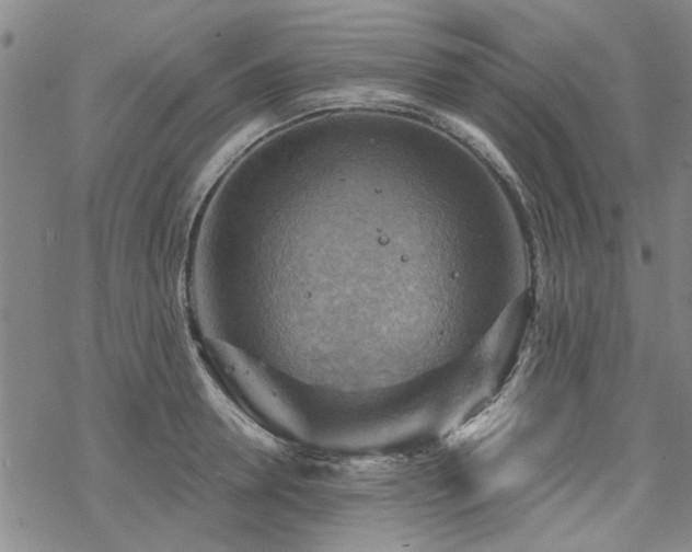 X0000068820946200605051207