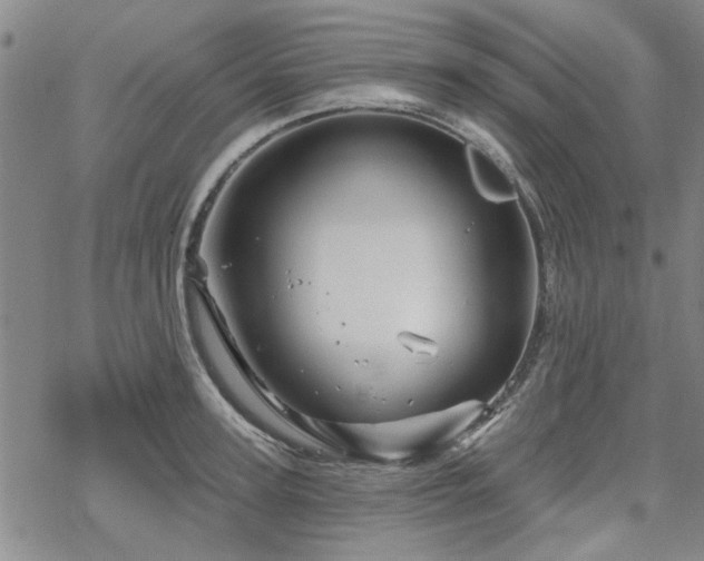 X0000068820947200605051207