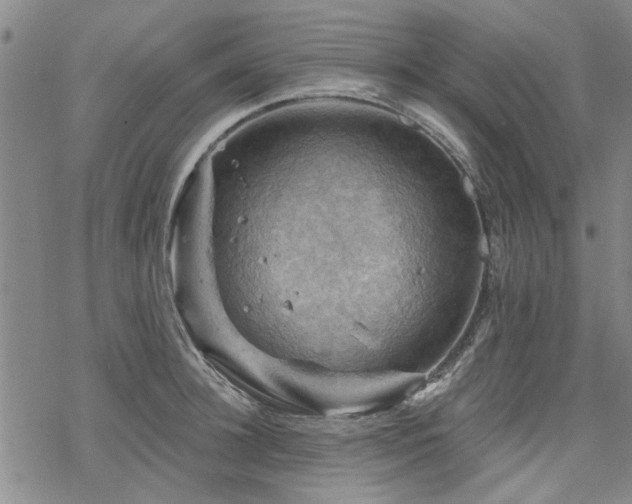 X0000068820948200605051207