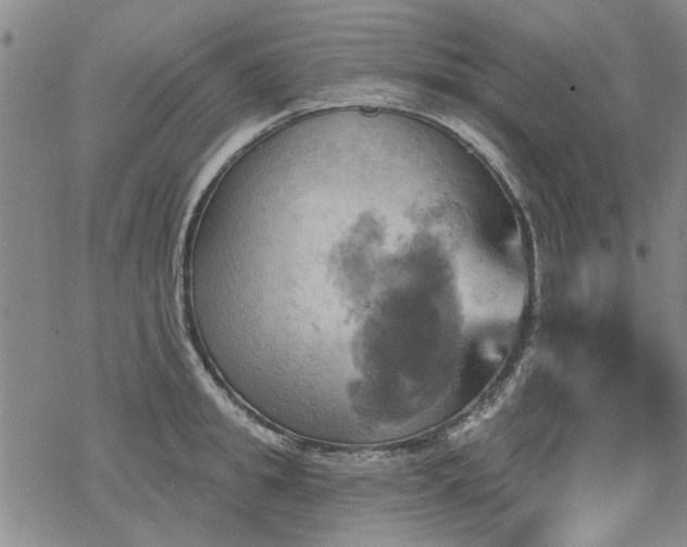 X0000068820949200605051207