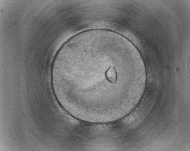 X0000068820950200605051207