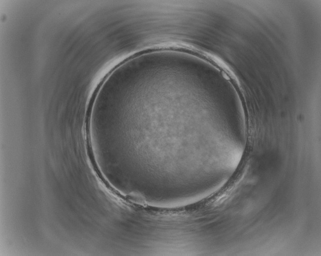 X0000068820951200605051207