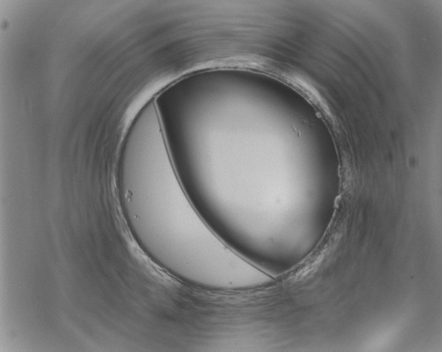 X0000068820952200605051207