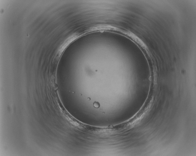 X0000068820953200605051207