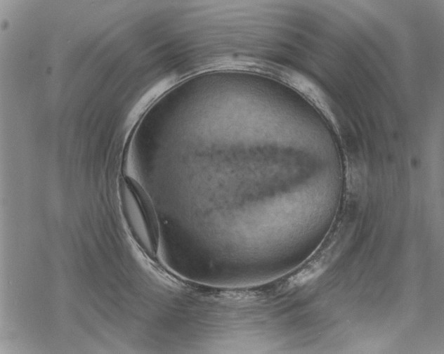 X0000068820954200605051207