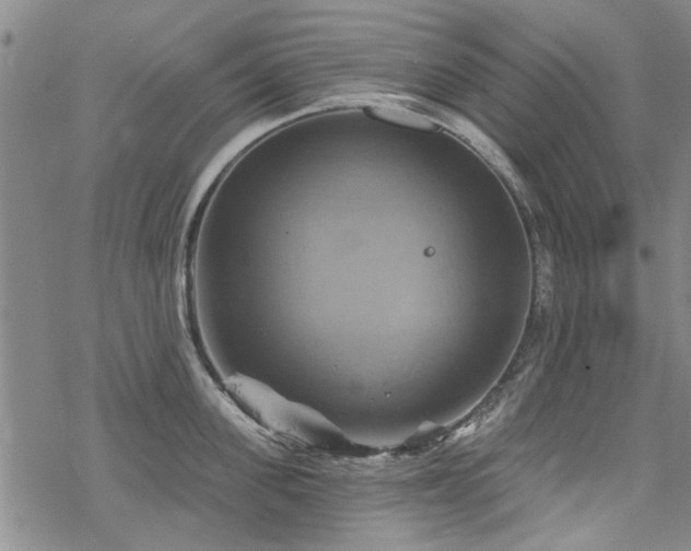 X0000068820955200605051207