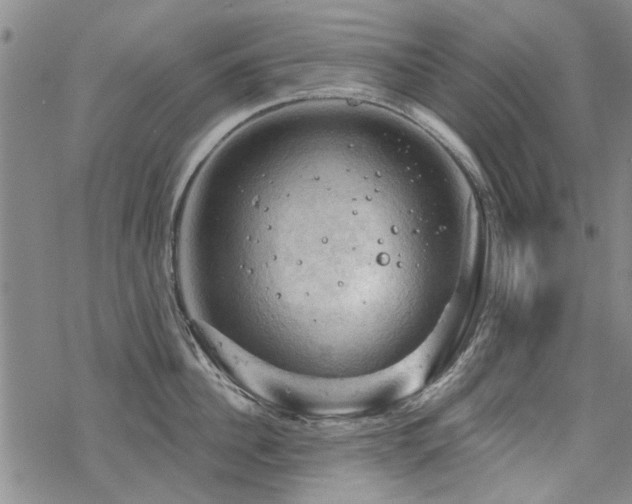 X0000068820956200605051207