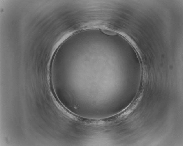 X0000068820957200605051207