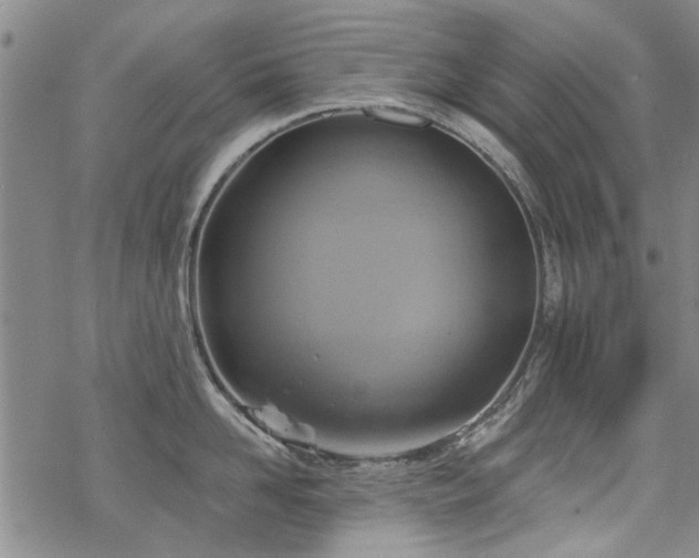 X0000068820958200605051207