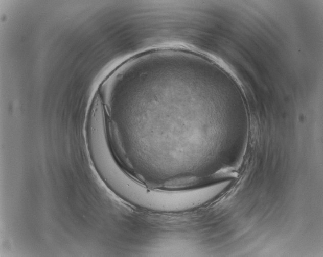 X0000068820959200605051207