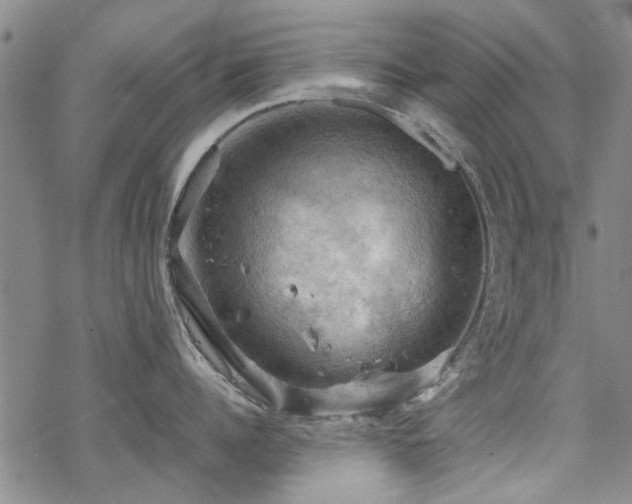 X0000068820960200605051207