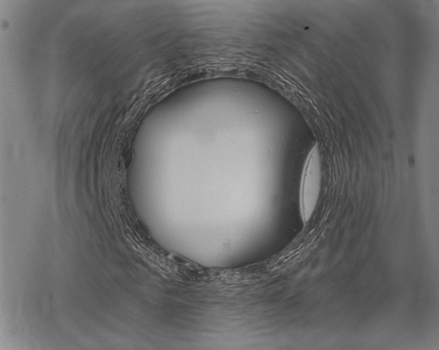 X0000068820961200605051206