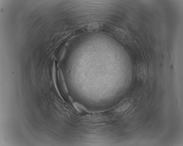 X0000068820962200605051206