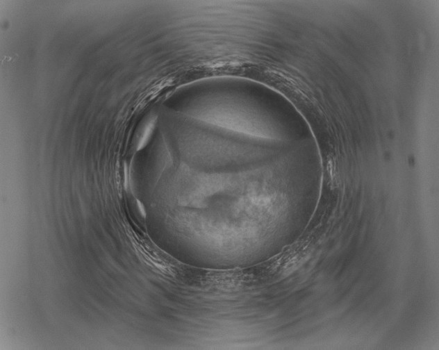 X0000068820963200605051206