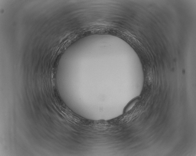 X0000068820964200605051206