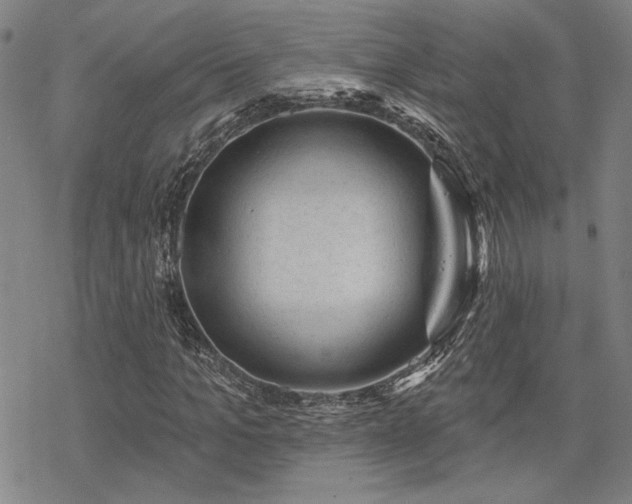 X0000068820965200605051206