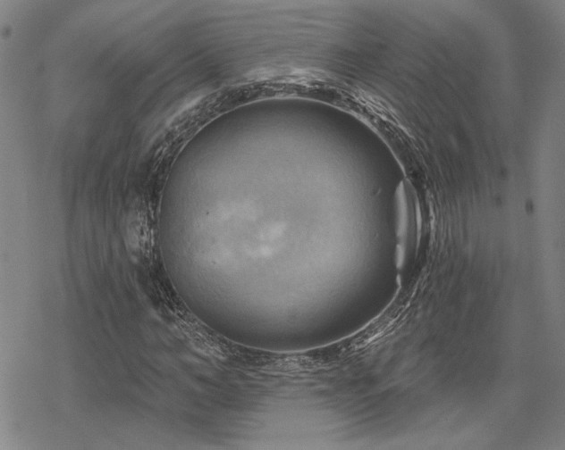 X0000068820966200605051206