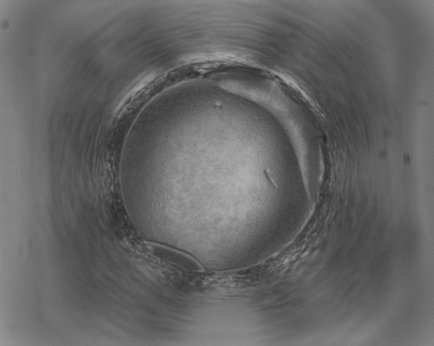 X0000068820967200605051206