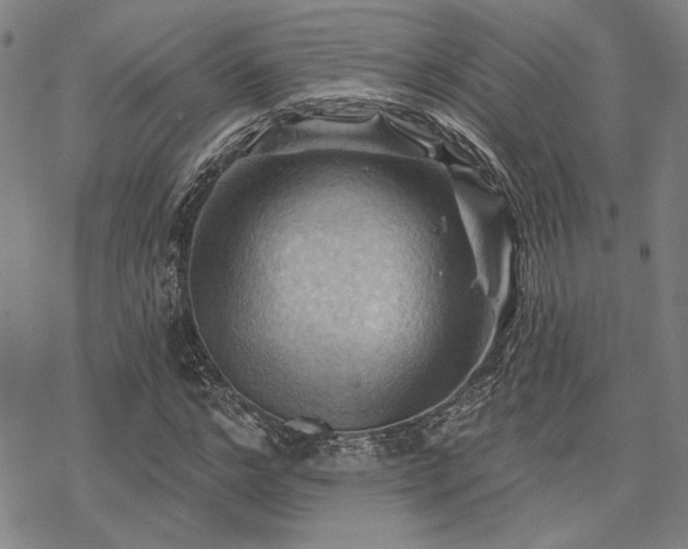 X0000068820968200605051206