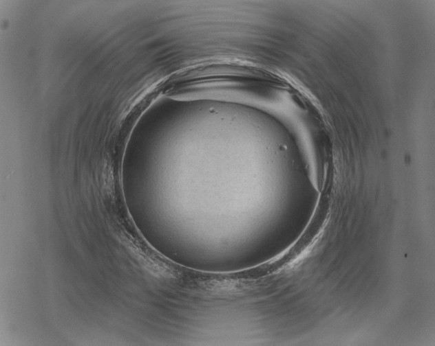 X0000068820969200605051206