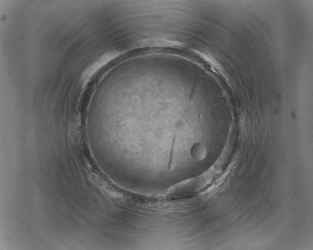 X0000068820971200605051206