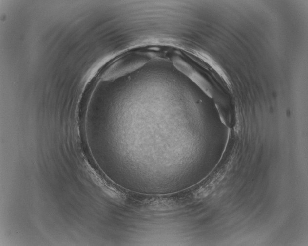 X0000068820972200605051206