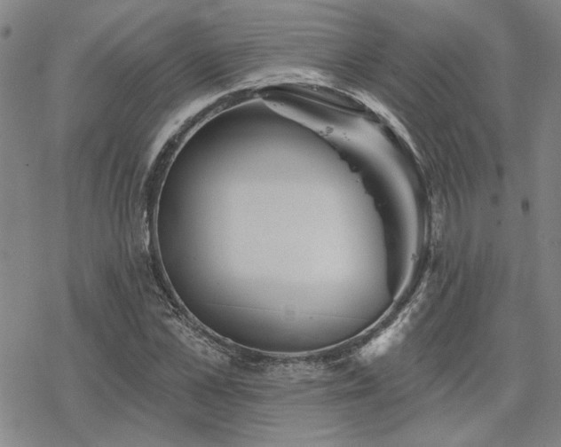 X0000068820973200605051206