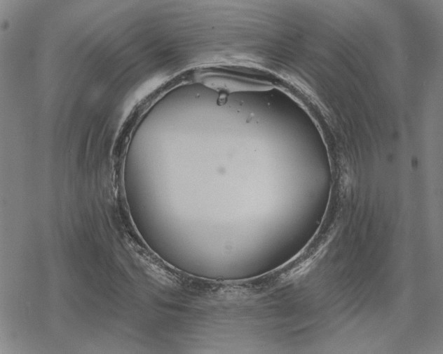 X0000068820974200605051206