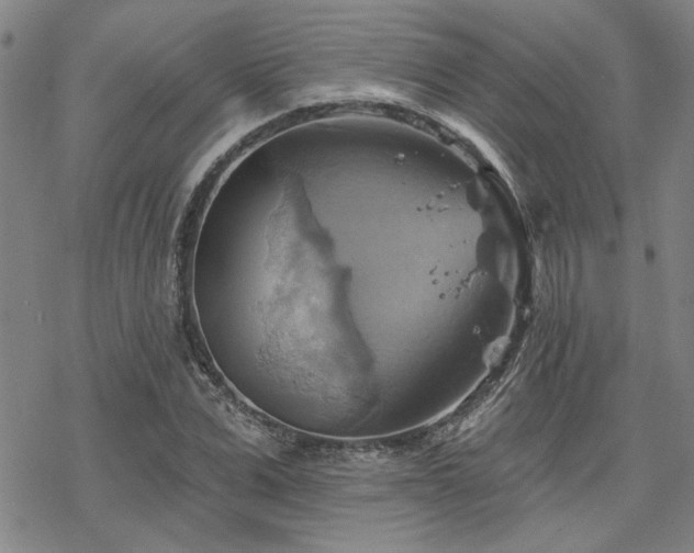 X0000068820975200605051206