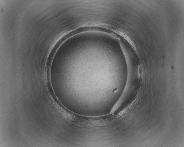 X0000068820976200605051206