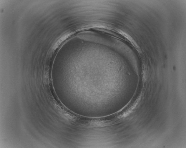 X0000068820977200605051206