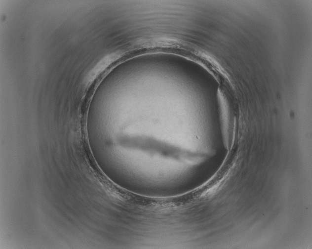 X0000068820978200605051206