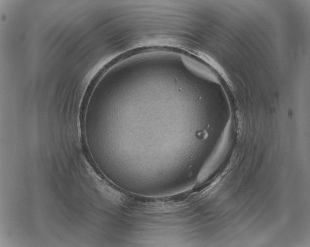 X0000068820980200605051206